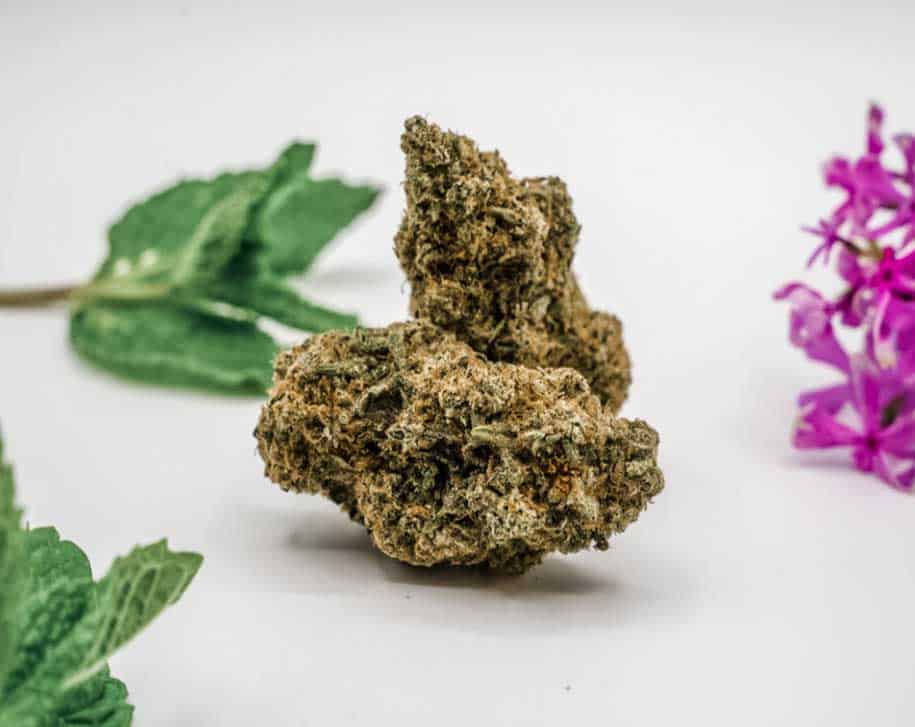 Don Shula Hybrid Cannabis Flower 2
