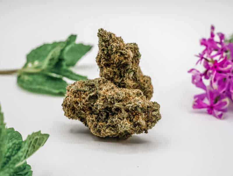 Don Shula Hybrid Cannabis Flower